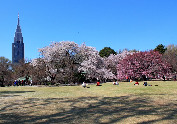 Shinjuku Gyoen Shinjuku Gyoen